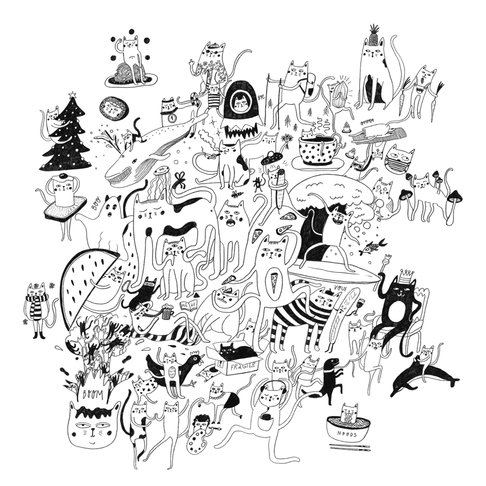 Ilustrace – kočky