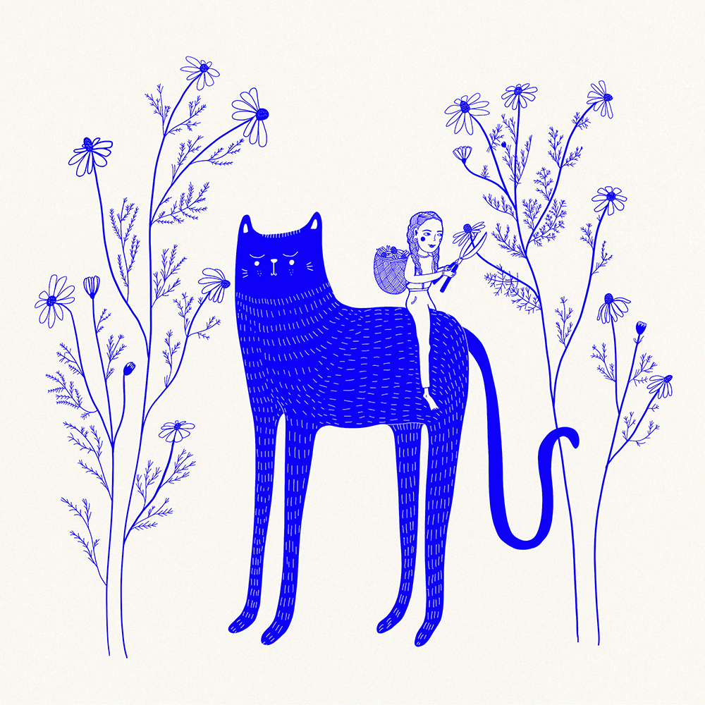 Ilustrace – dívka na kočce